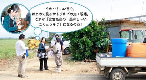 うわ〜!いい香り。はじめて見るサトウキビの加工現場。これが「宮古島産の 美味し〜いこくとうみつ」になるのね!