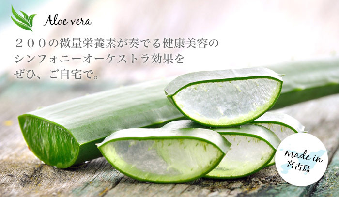 1本→1000円健康野菜　アロエベラ