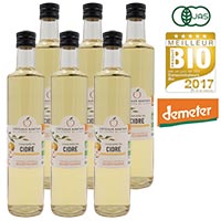 コトーナンテ（Coteaux Nantais） 有機アップルサイダービネガー “マザー”(酢酸菌)入り 500ml×6本