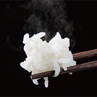 もちもち白米コース