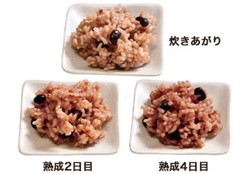 炊きあがり 熟成2日目 熟成4日目