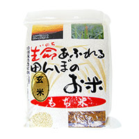 【サマーセール】【令和5年産】生命あふれる田んぼのお米 もち米 玄米 2kg