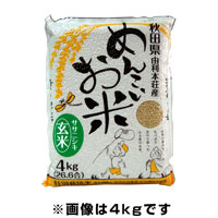 めんこいお米 ササニシキ 玄米 30kg