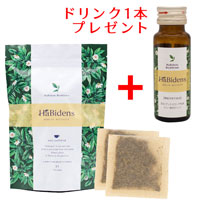 武蔵野免疫研究所 HaBidens HerbTea ハービデンスハーブティ プラス （旧：宮古ビデンスピローサ茶） 1袋（3.2g×31包）＋【ドリンク1本プレゼント】