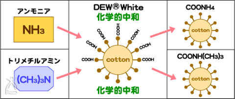 DEWコットン　バスマット：メカニズム1