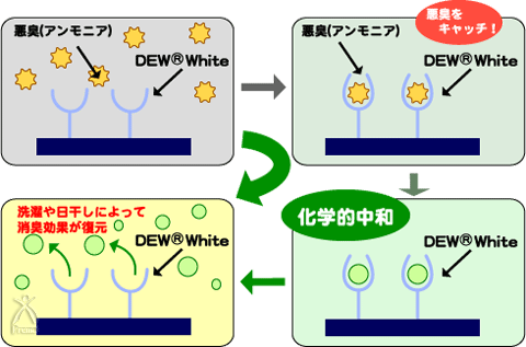 DEWコットン　バスマット：pHコントロールとアンモニアの関係