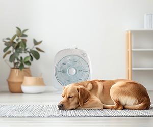 空気清浄、抗菌機能