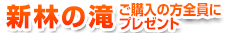新林の滝ご購入の方全員にプレゼント