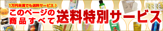 1万円未満でも送料サービス♪このページの商品すべて送料サービス