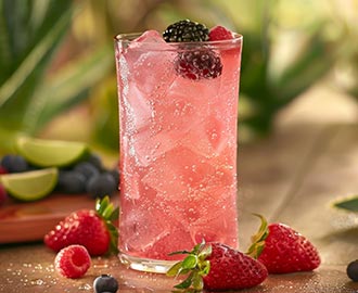 アロエフルーツカクテル