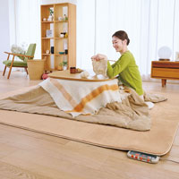 ゼンケン 電子制御ホットカーペット カバー付 2畳用 ZC-20SM／カバー色：モカブラウン