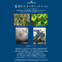 ナチュラルスタイル 本たで藍染アームカバー 約47cm丈