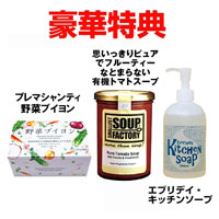 パワー・スチームオーブン NEW グランシェフ 