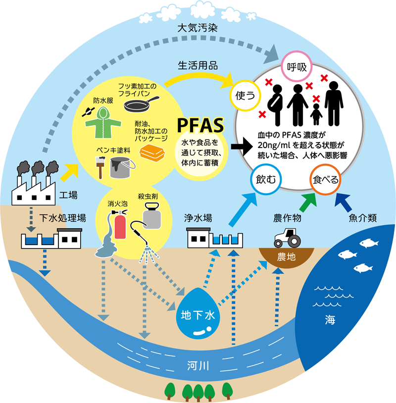 PFASのサイクル