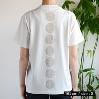 プレマルシェ・ボディバランス・オーガニックコットン・復活Tシャツ ナチュラル／Ｓサイズ