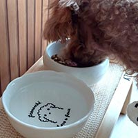 森修焼（しんしゅうやき）Premarche with Animals フラワー小鉢 Ｍサイズ／いぬ