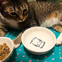 森修焼（しんしゅうやき）Premarche with Animals フラワー小鉢 Ｍサイズ／ねこ