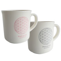 森修焼（しんしゅうやき） プレマルシェ フラワーオブライフ マグカップ ギフトセット ロゴカラー：グレー×ピンク