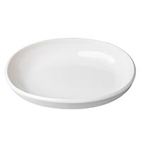 森修焼（しんしゅうやき） もぐっと！プレート 