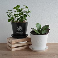 森修焼（しんしゅうやき）プレマルシェロゴ入り植木鉢