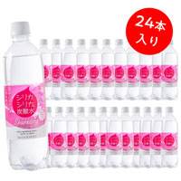 九州天然水 シリカシリカスパークリング（炭酸水） 【ケース販売】 500ml×24本