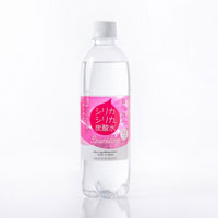 九州天然水 シリカシリカスパークリング（炭酸水） 【ケース販売】 500ml×24本