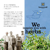 ゾネントア（SONNENTOR） チャイシリーズ チャイアソート 1.8g×6袋