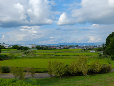 奈良県広陵町の田園風景